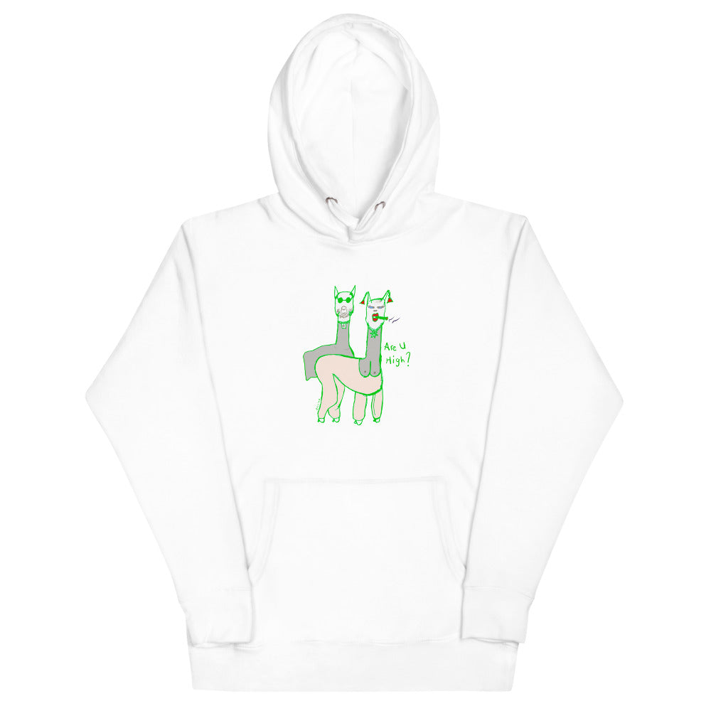 Are You High? Hoodie